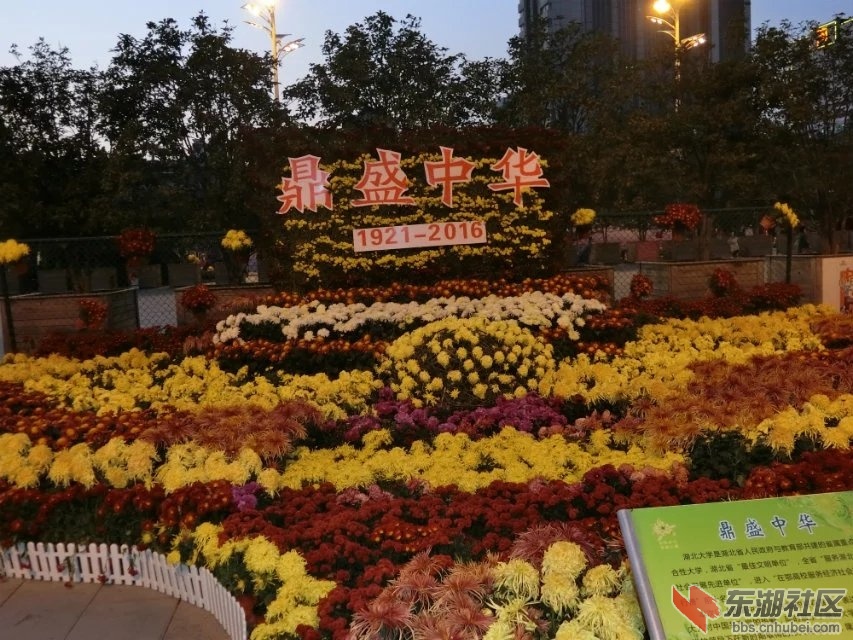 CIMG5402.jpg