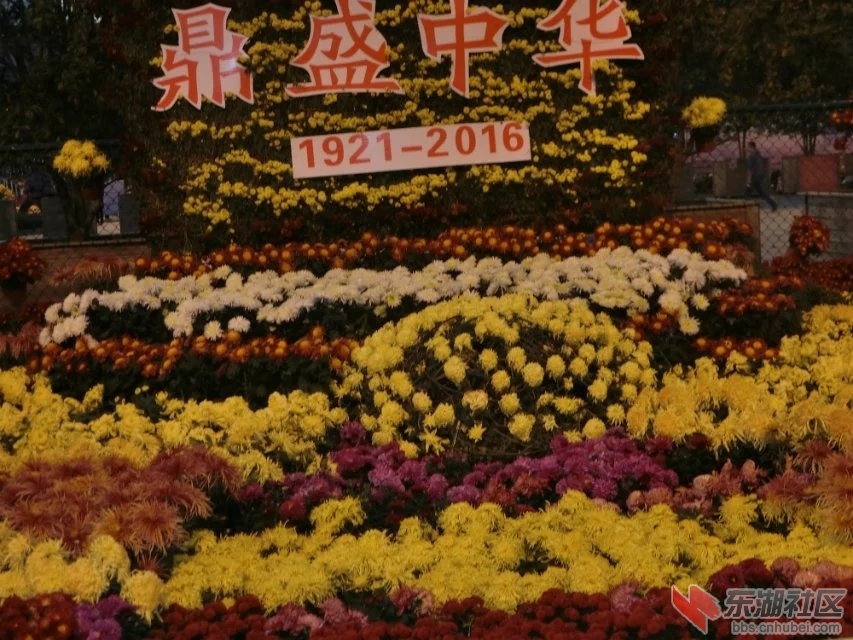 CIMG5403.jpg