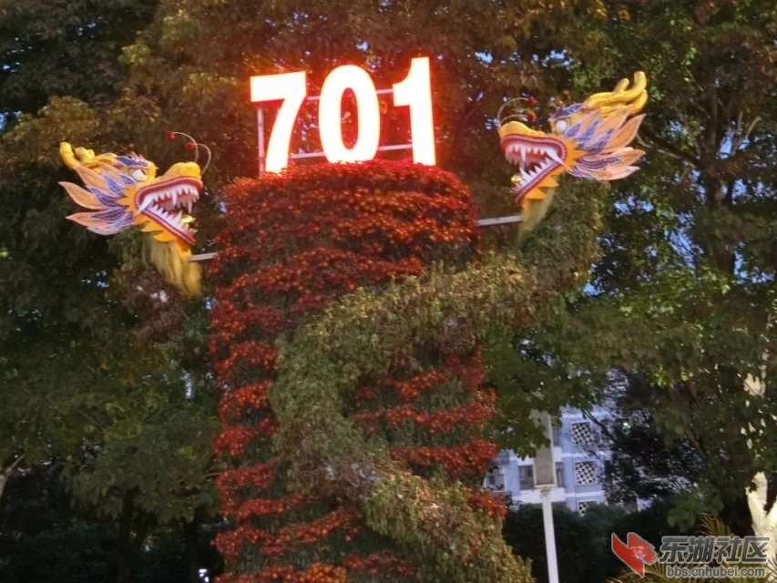 CIMG5404.jpg