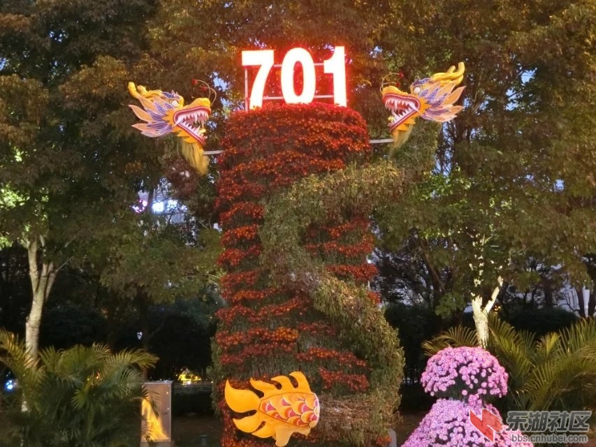 CIMG5405.jpg