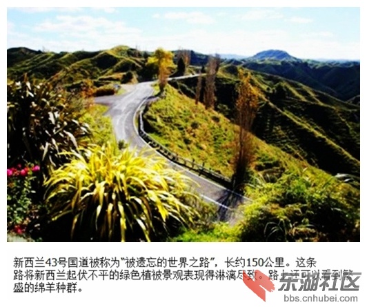09新西兰43号国道.jpg