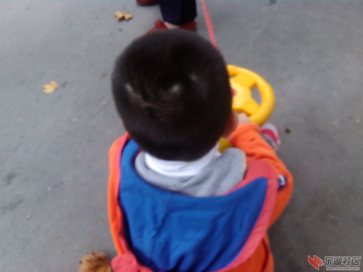 IMG_20161022_131132.jpg