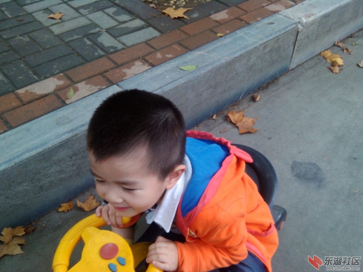 IMG_20161022_131147.jpg