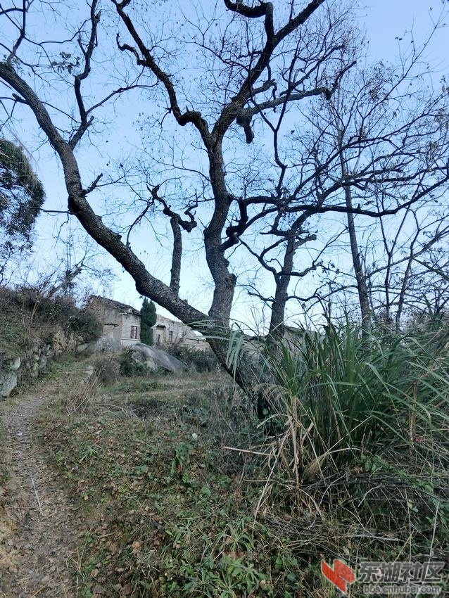 04.JPG