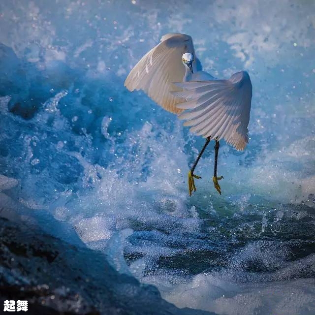 08起舞.jpg