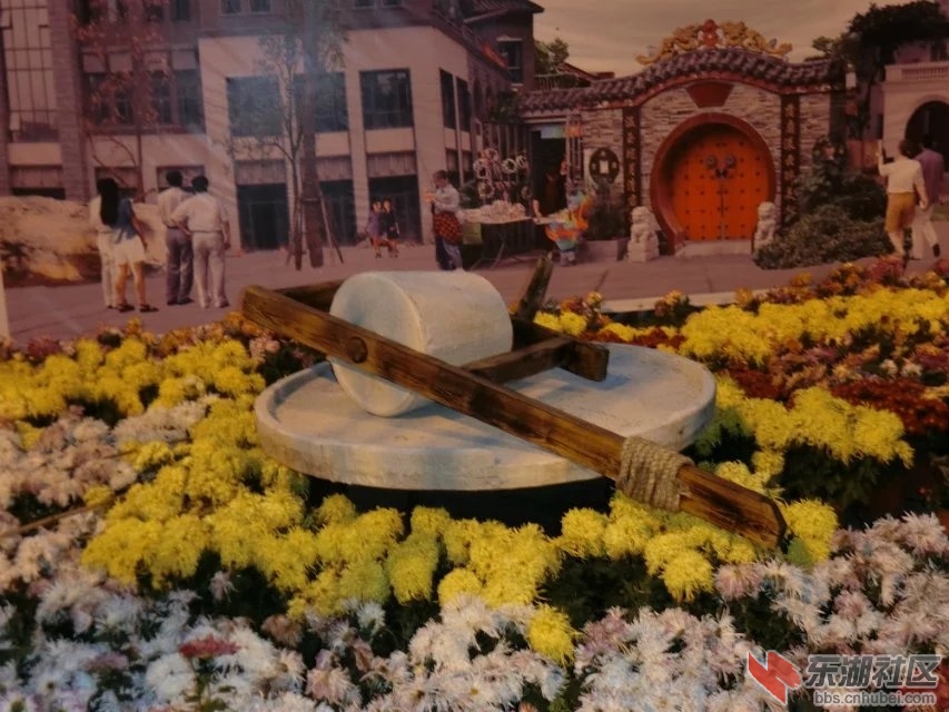 CIMG5414.jpg