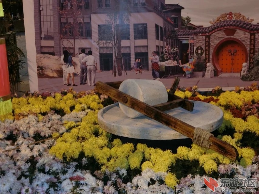 CIMG5415.jpg