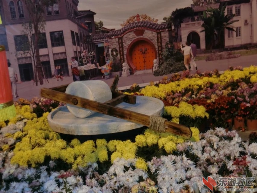 CIMG5416.jpg