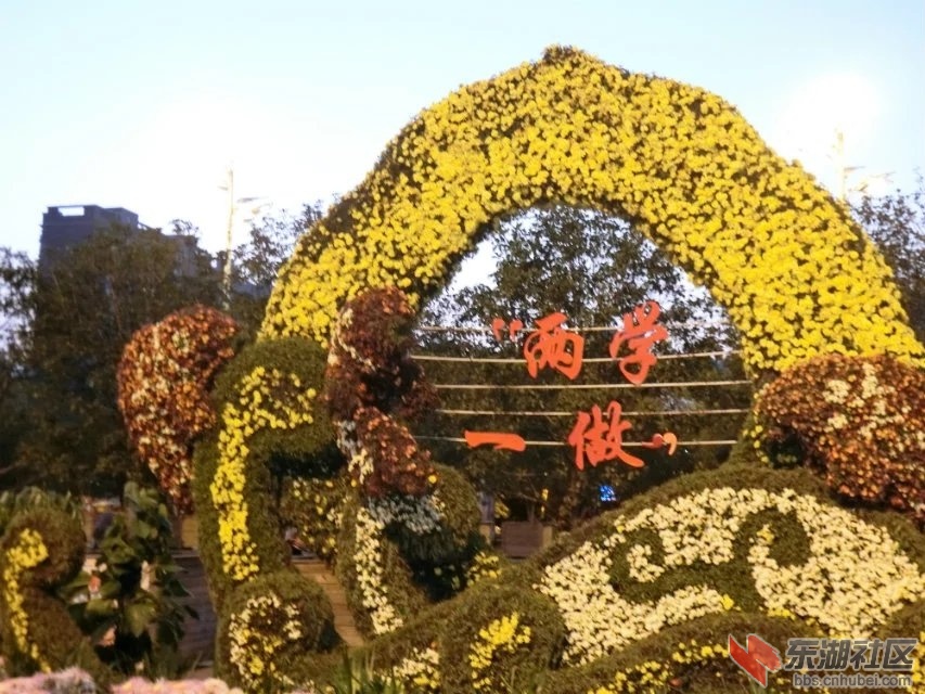 CIMG5424.jpg