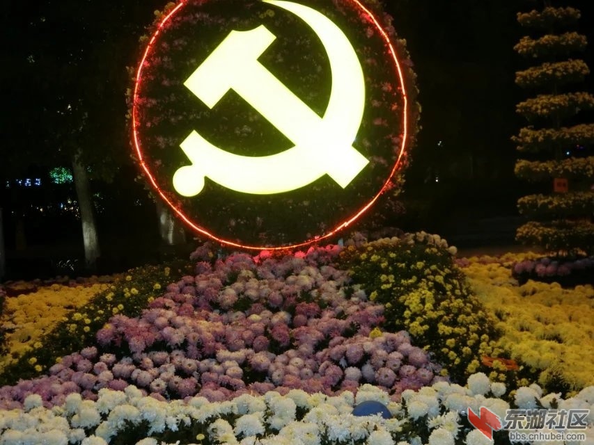 CIMG5433.jpg