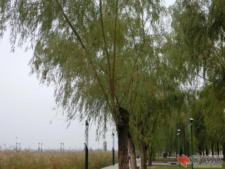 CIMG5760.jpg