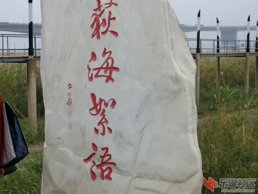 CIMG5798.jpg