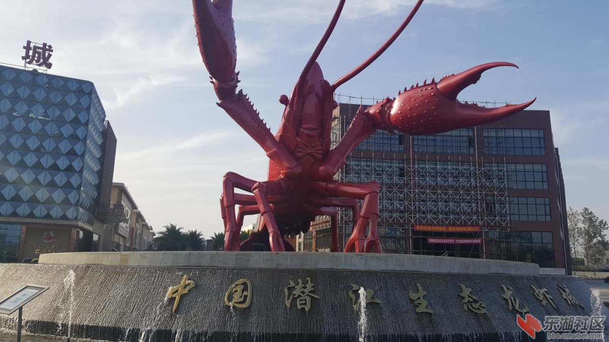 20161111_154533.jpg