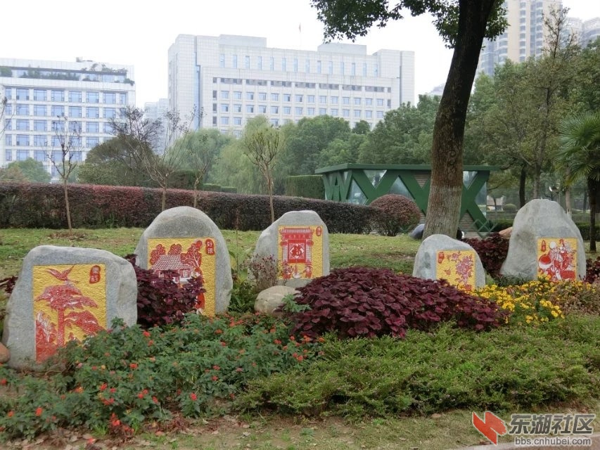 CIMG5933.jpg