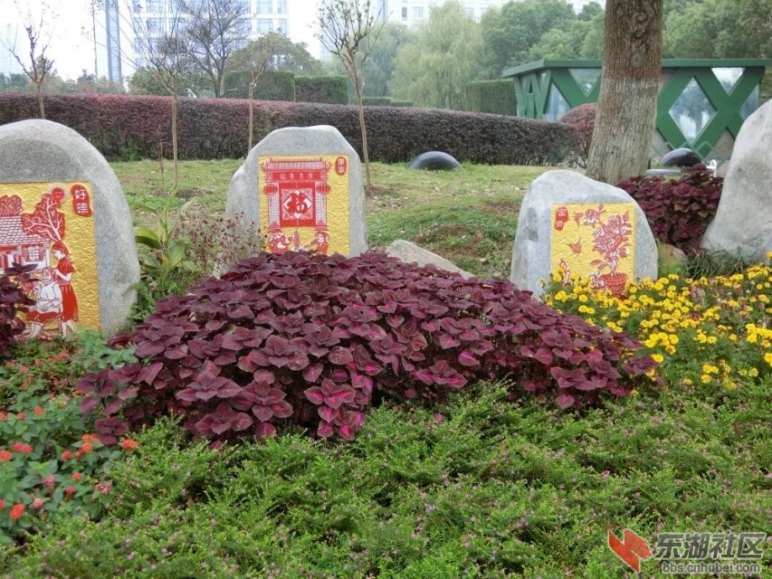 CIMG5934.jpg