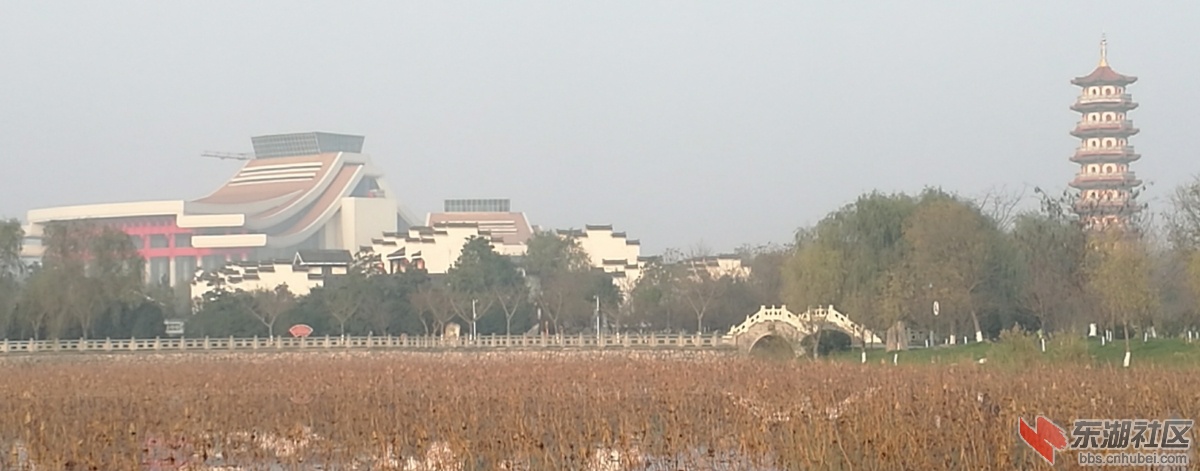 IMG_20161218_102307.jpg