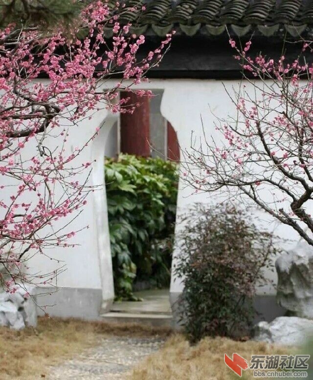 QQ图片20161221153241.jpg