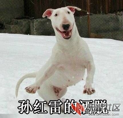 QQ图片20161221215614.jpg