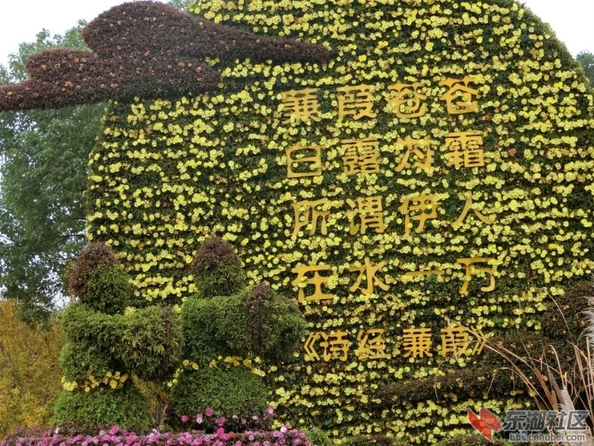 CIMG6187.jpg
