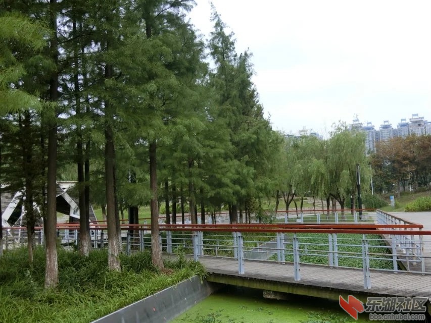 CIMG3770.jpg