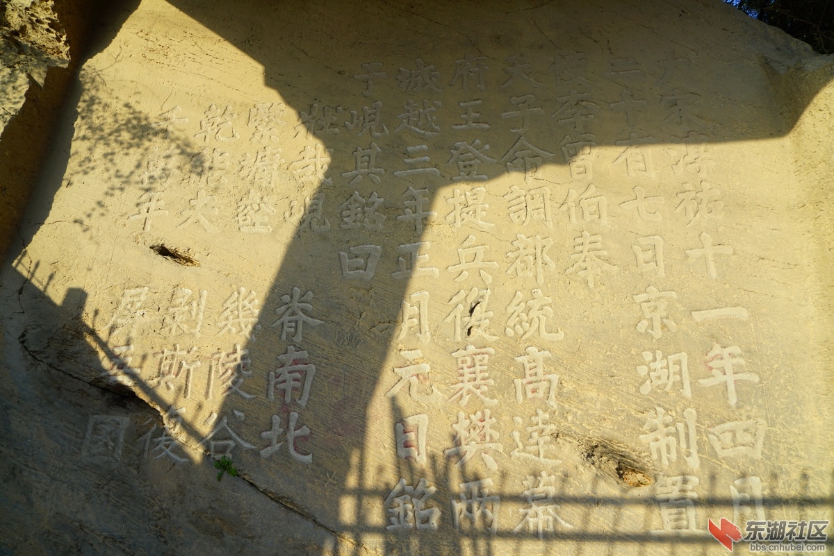 DSC00666_副本.jpg
