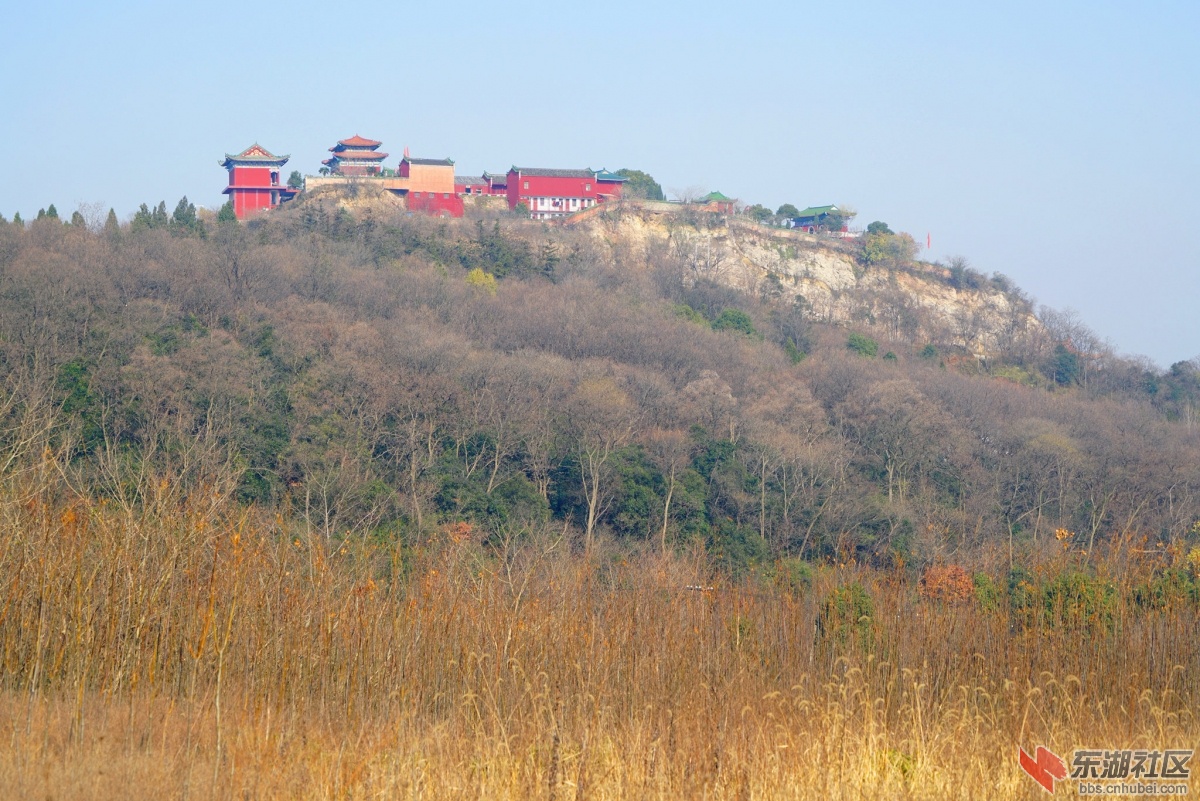 DSC00690_副本.jpg