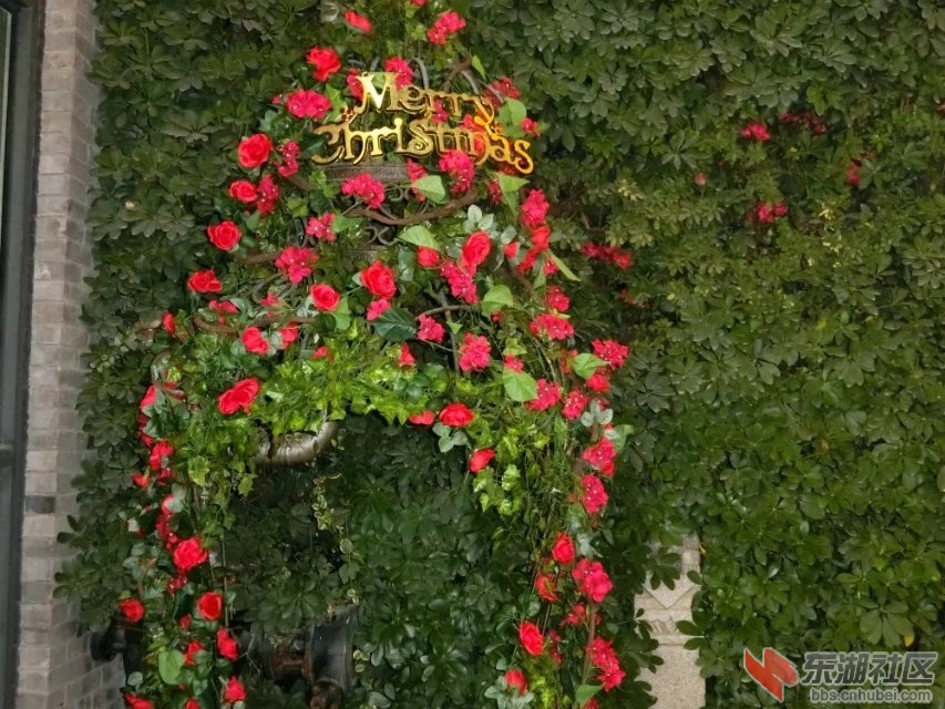 CIMG9507.jpg