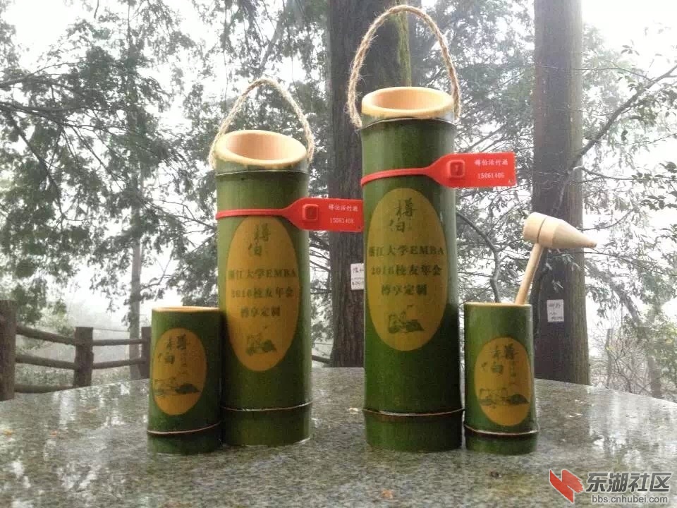 浙大EMBA.JPG