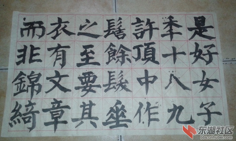 20161226_134204.jpg