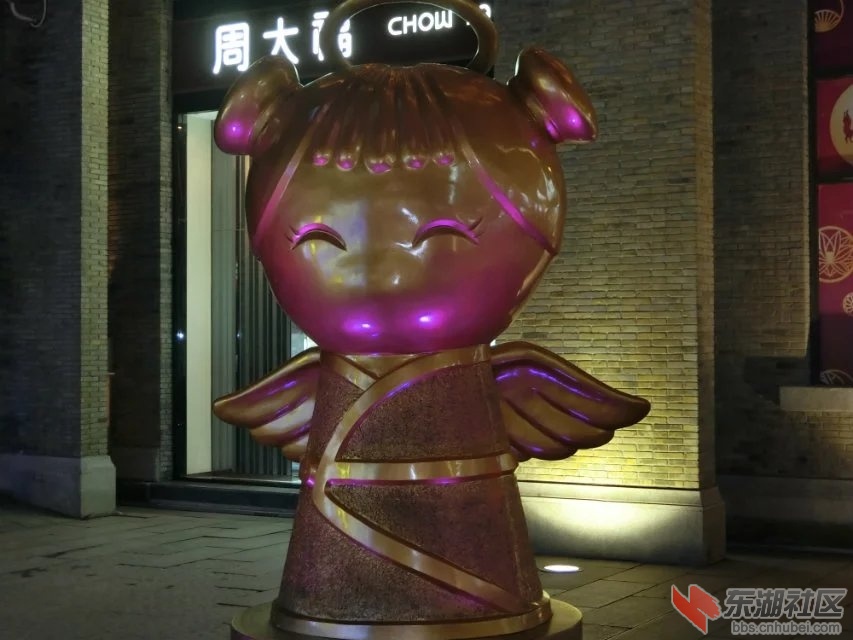 CIMG9535.jpg