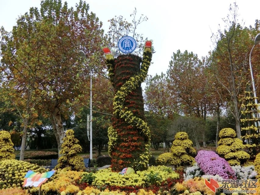 CIMG6260.jpg