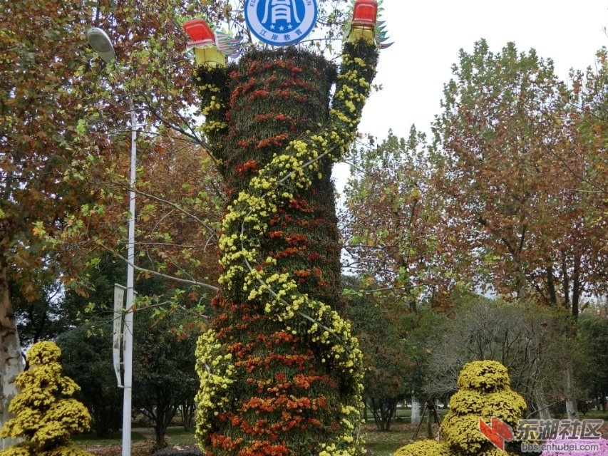 CIMG6261.jpg