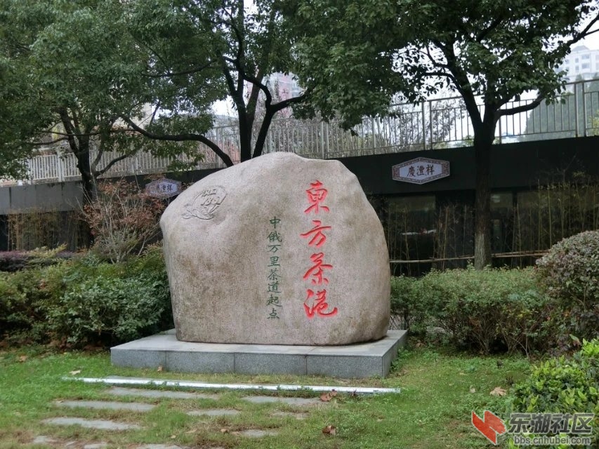 CIMG6271.jpg