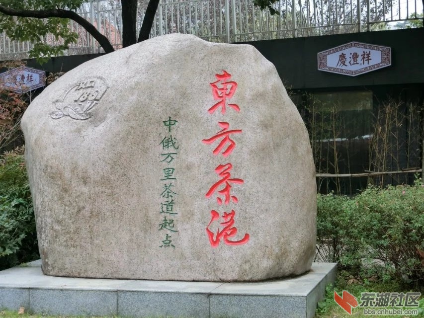 CIMG6272.jpg