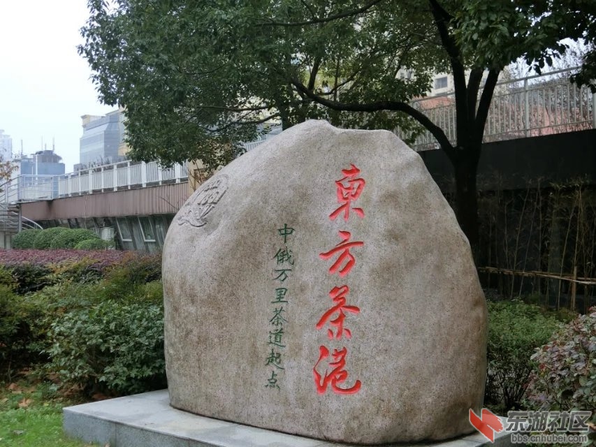 CIMG6275.jpg