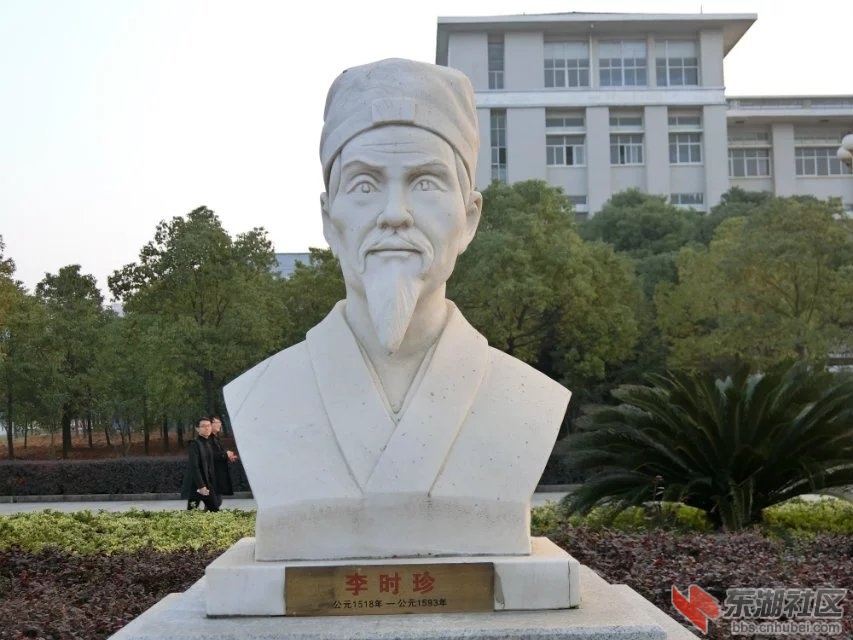 CIMG8715.jpg
