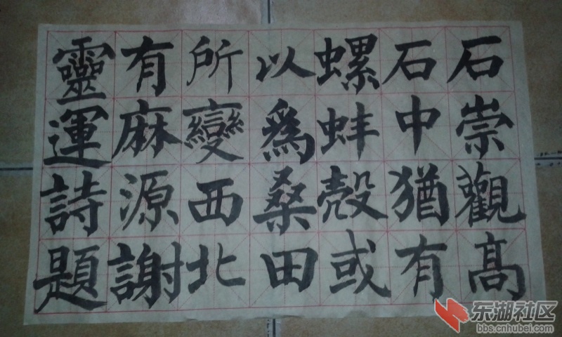 20161226_133704.jpg