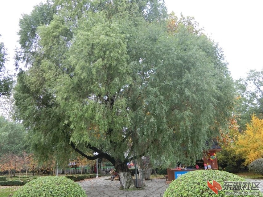 CIMG6346.jpg