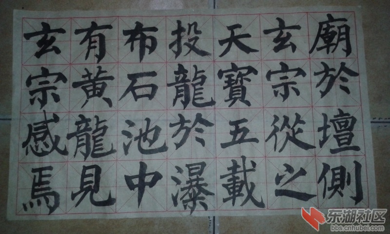 20161226_133554.jpg
