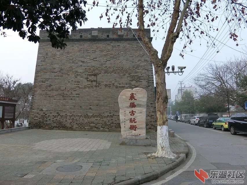 CIMG9737.jpg