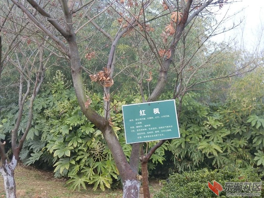 CIMG9762.jpg