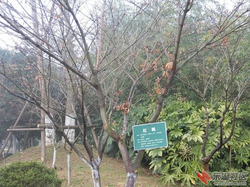 CIMG9760.jpg