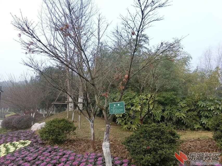 CIMG9761.jpg