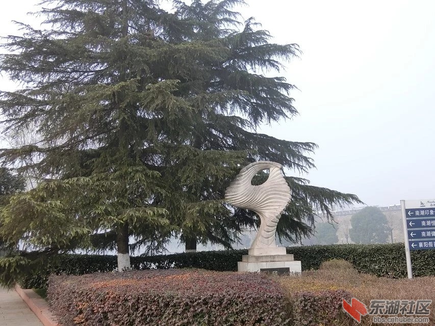 CIMG9793.jpg