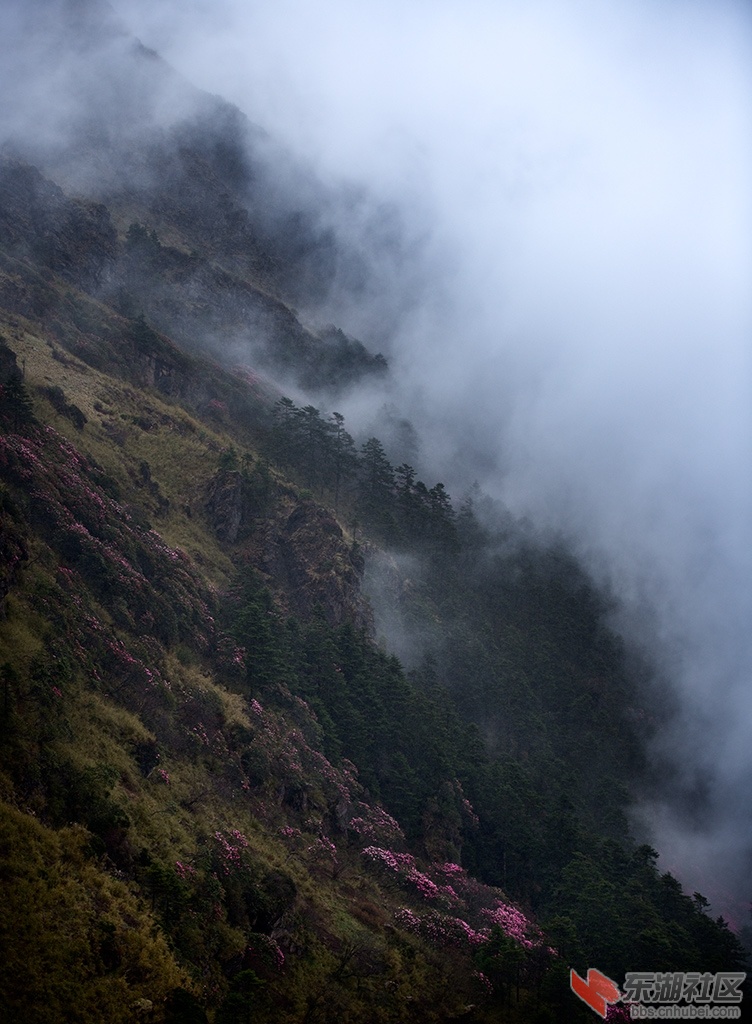 _DSC8157.jpg