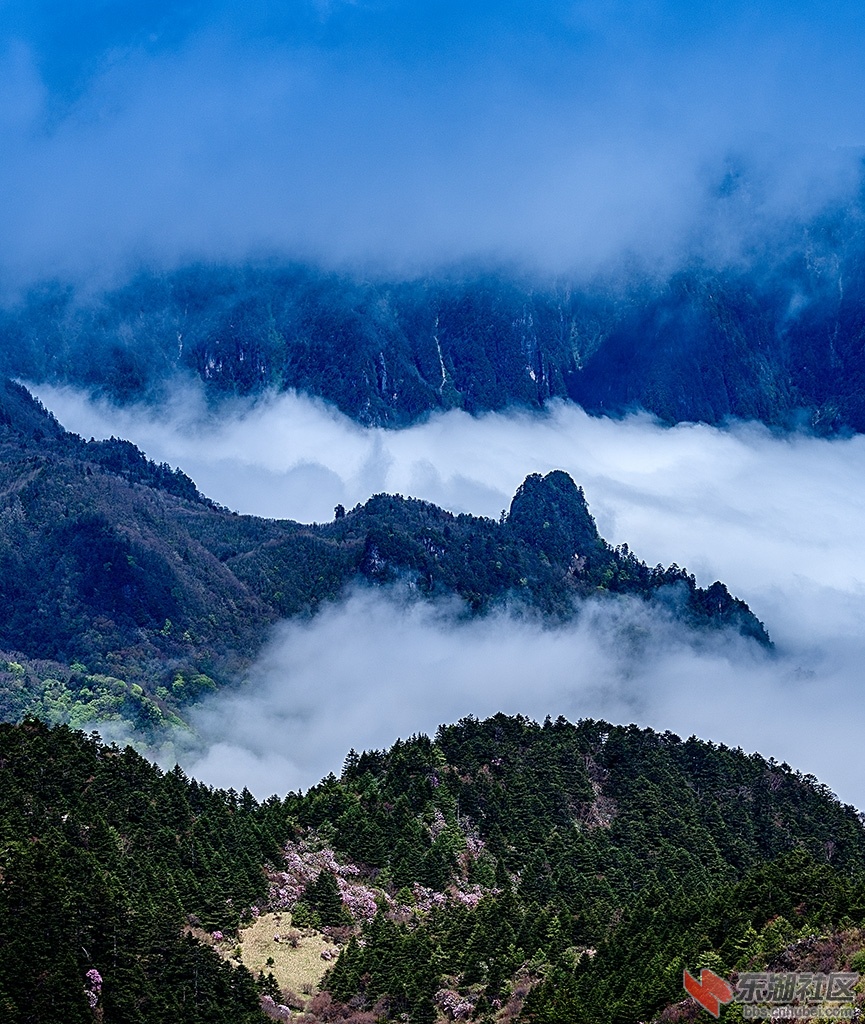 _DSC8272.jpg
