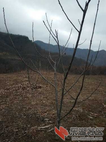 IMG20170108175517.jpg