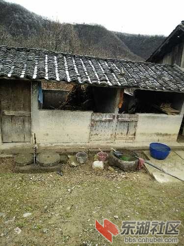 IMG20170107112703.jpg