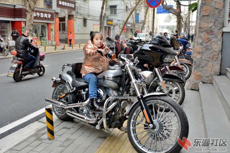 QYM_7995.JPG