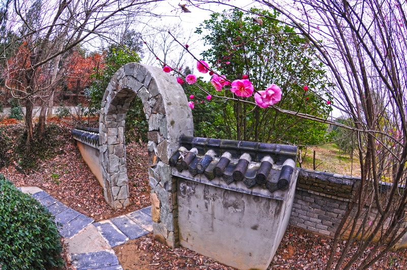 DSC_8550_缩小大小.JPG